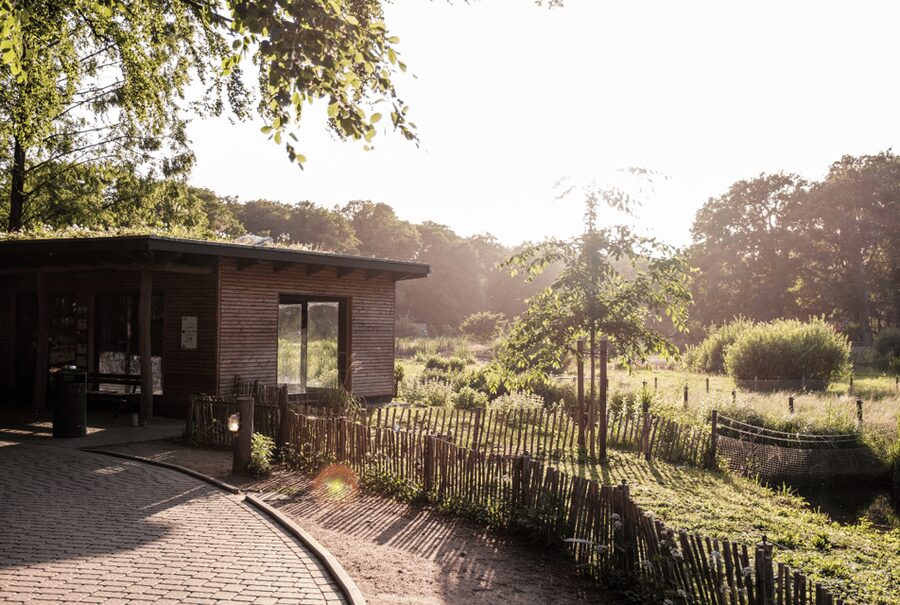 1-day ticket for Schwerin Zoo - Key Things to Know Before You Go