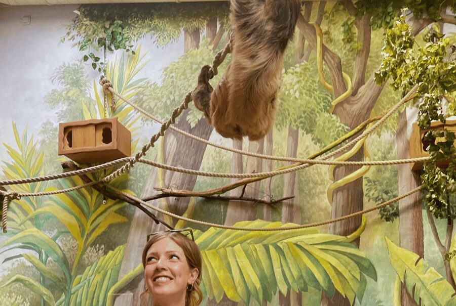 1-day ticket for Schwerin Zoo - Rhino Savannah and Other Species You Rarely See in the Far North