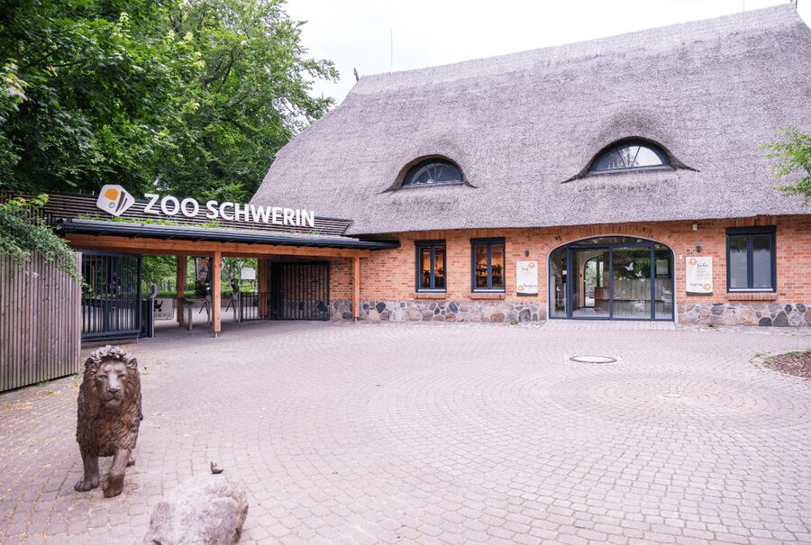 1-day ticket for Schwerin Zoo - Asiatic Lions, David’s Deer, and Rothschild Giraffes