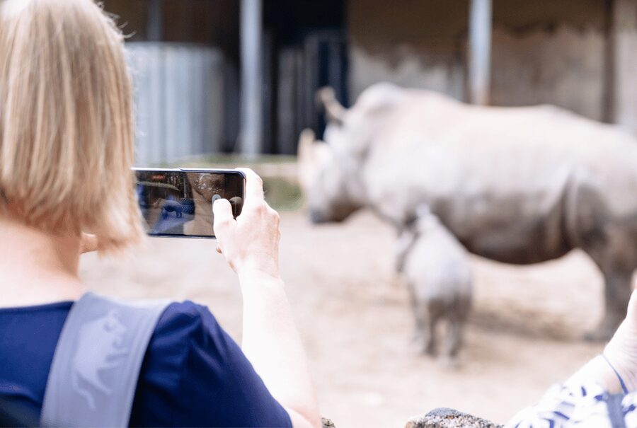 1-day ticket for Schwerin Zoo - Food, Snacks, and Where to Refuel During Your Zoo Walk