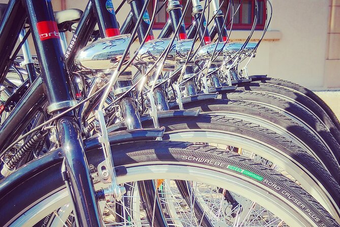 2 1/2h Guided Bicycle Tour Discover Heidelberg - A Quick Pass by Bergfriedhof, Heidelberg’s Mountain Cemetery Moment