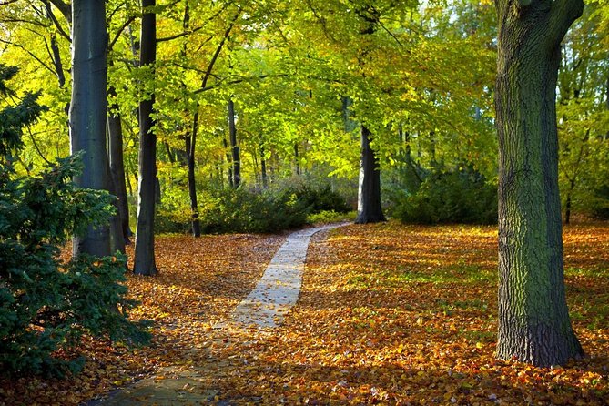 3-Hour Bike Tour of Tiergarten and Berlin's Hidden Places - Key Things You Should Know Before You Ride