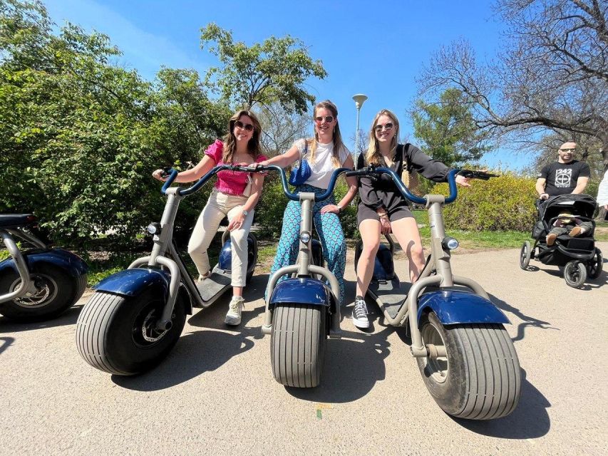 3 Hours Hamburg E-Scooter Tour - Rathaus, Hauptbahnhof, and the Binnenalster to Außenalster Shift