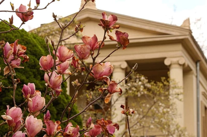 5h Potsdam private tour with Guide, Chauffeur & Photographer - Who this Potsdam tour fits best