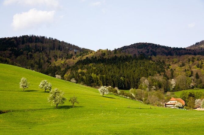 Baden-Baden, Black Forest and Strasbourg Day Trip from Frankfurt - Key things to know before you go