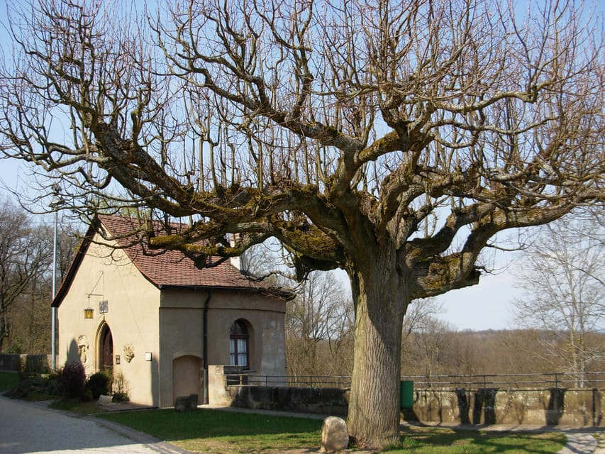 Bamberg: Altenburg Burg Tour - 900 years of Altenburg: the story thread you follow while walking