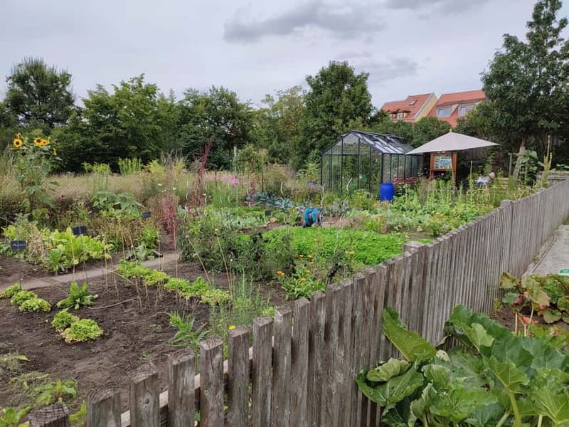 Bamberg: Guided Tour of the Gardeners' District - The Museum of Market Gardeners and Wine Growers: Small Stop, Useful Context