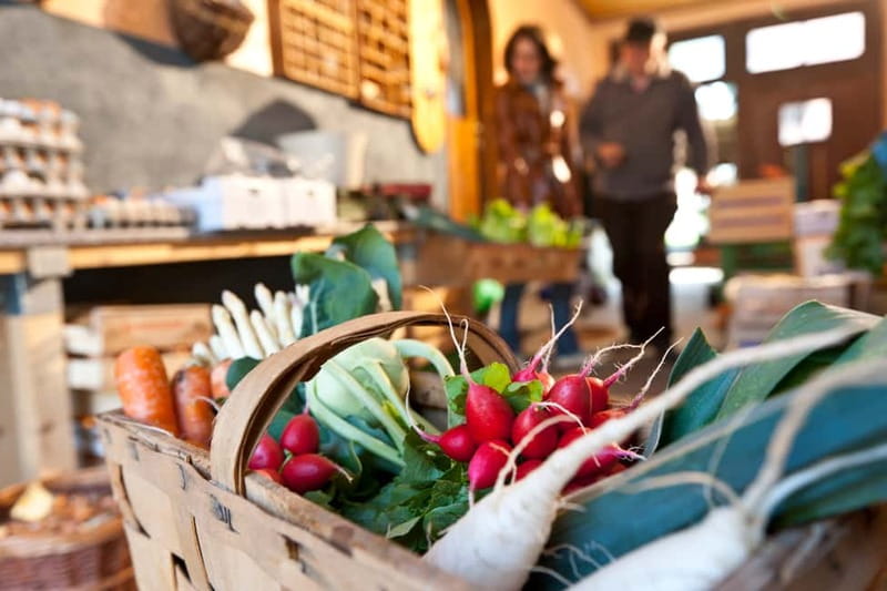 Bamberg: Guided Tour of the Gardeners' District - Price and Value: What $17 Buys You in Bamberg