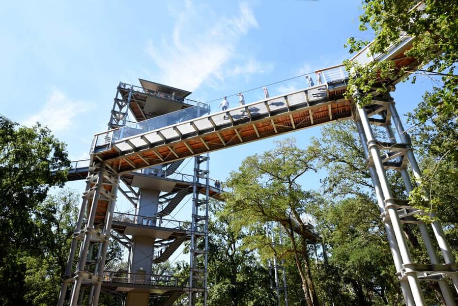 Beelitz-Heilstätten: Baum&Zeit Tree Top Walk Entry Ticket - Baum & Zeit at Beelitz-Heilstätten, what it really is