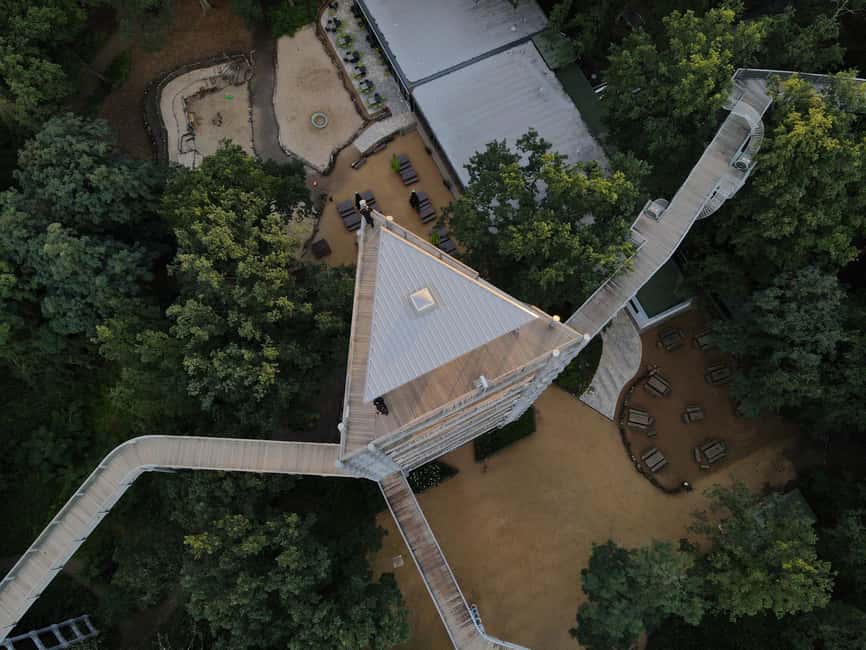 Beelitz-Heilstätten: Baum&Zeit Tree Top Walk Entry Ticket - Alpenhaus ruins and the canopy forest grown since 1945