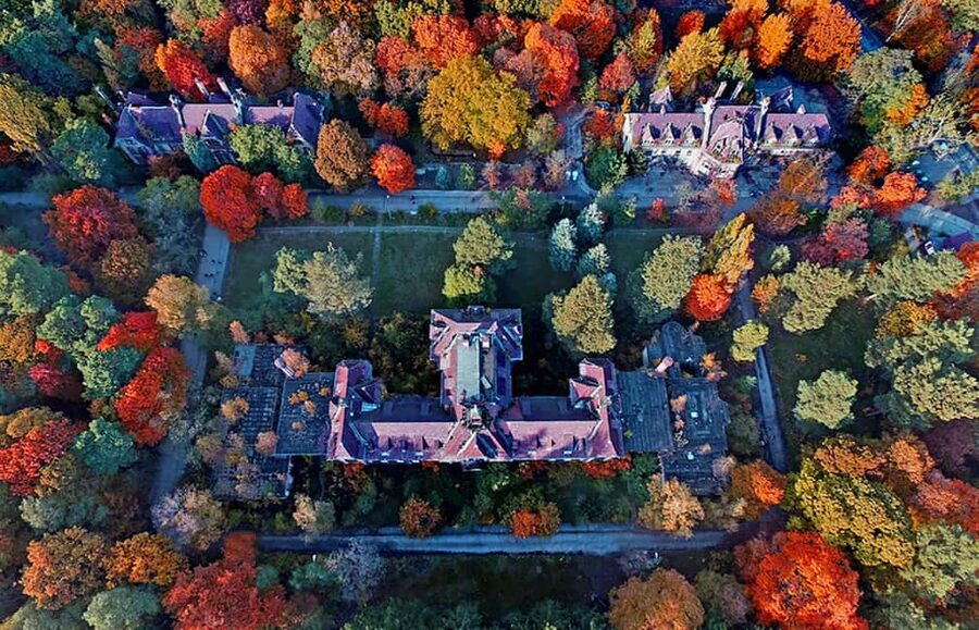 Beelitz-Heilstätten: Baum&Zeit Tree Top Walk Entry Ticket - Forest park seasons, 65 species, and why spring and autumn matter