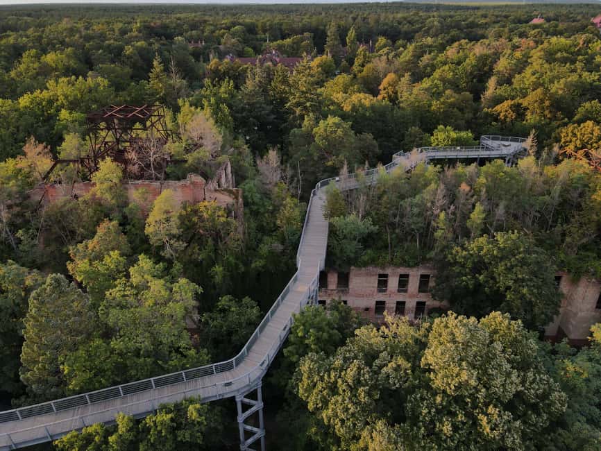 Beelitz-Heilstätten: Baum&Zeit Tree Top Walk Entry Ticket - Your treetop route, the 700-meter walk and what to notice