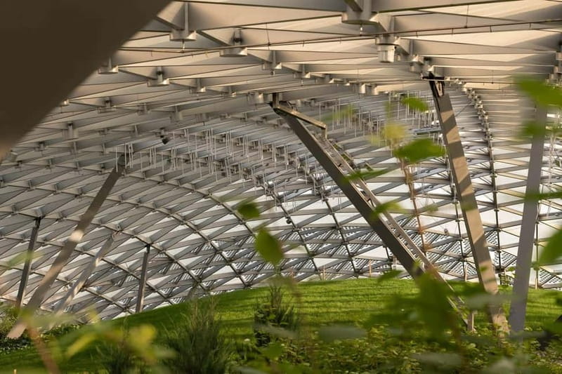 Berlin: Botanic Garden Berlin Entry Ticket with Audio Guide - Key things to know before you go