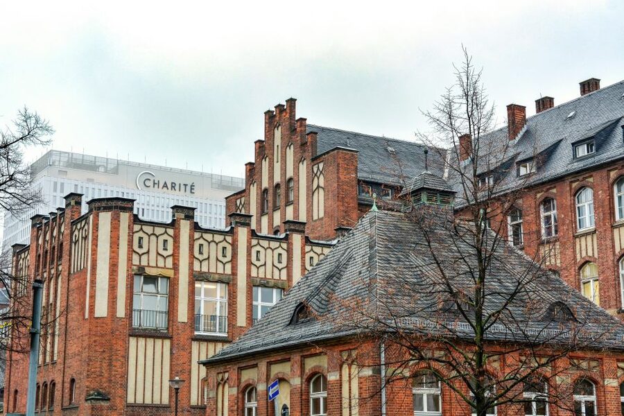 Berlin: Charité Hospital History Walking Tour - Nazi-Era Medicine, Racial Hygiene, and How Institutions Broke Ethics