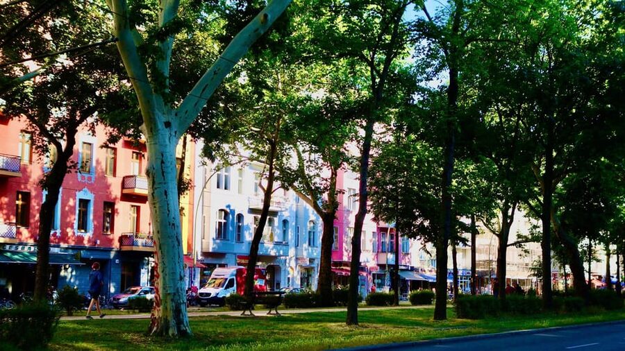 Berlin Food Tour: Must-Try German & Berliner Classics - Vegetarian-Friendly Eating That Still Feels Like Berlin