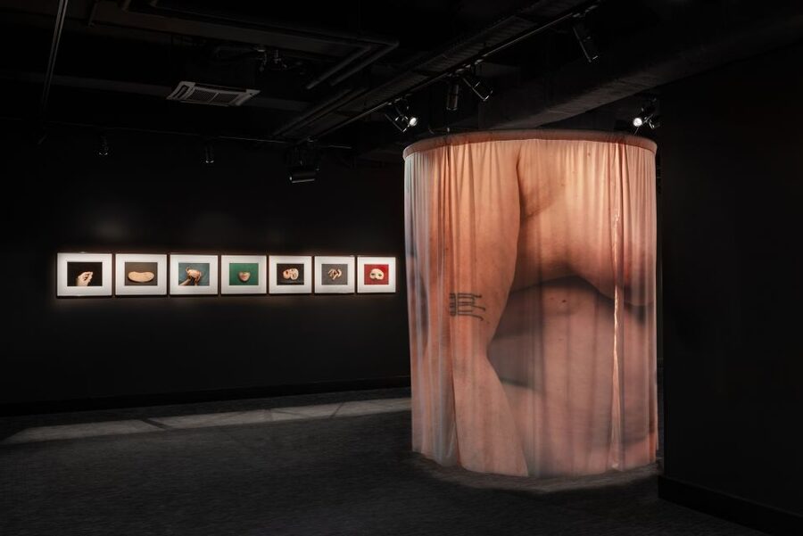 Berlin: Fotografiska Photography Exhibition Ticket - Family friendly, dog friendly, and wheelchair accessible