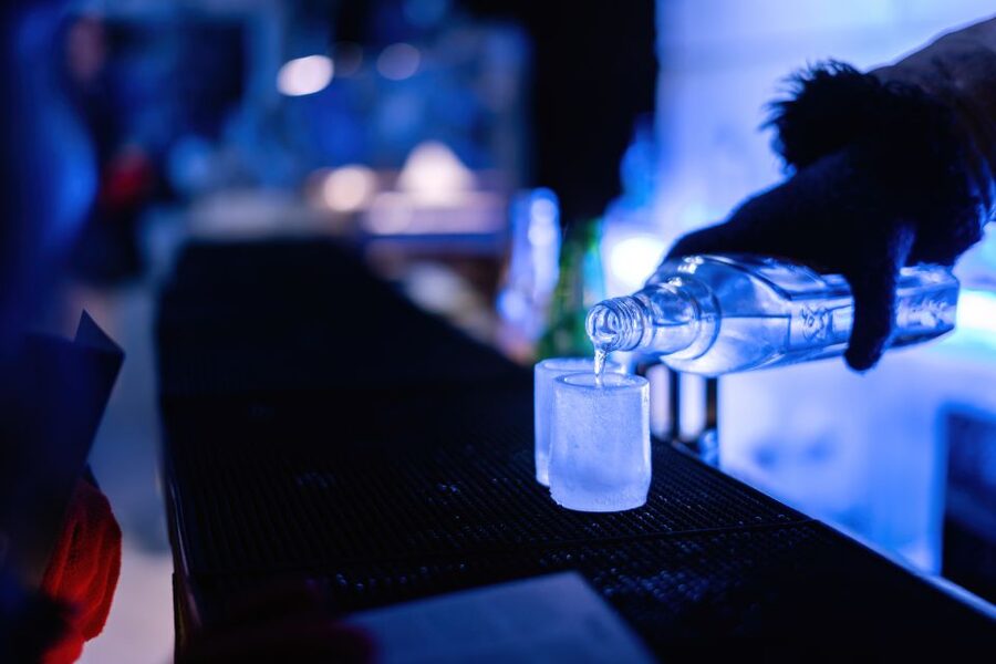 Berlin: Hop-On Hop-Off Bus and Icebar Ticket Combo - Price and value: is $44 a good deal for this day?