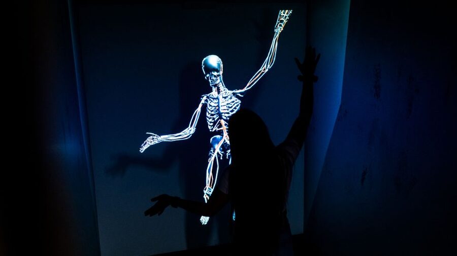 Berlin: Interactive DeJa Vu Museum Entrance Ticket - The 1.5-Hour Flow, From “Wait, What?” to Done
