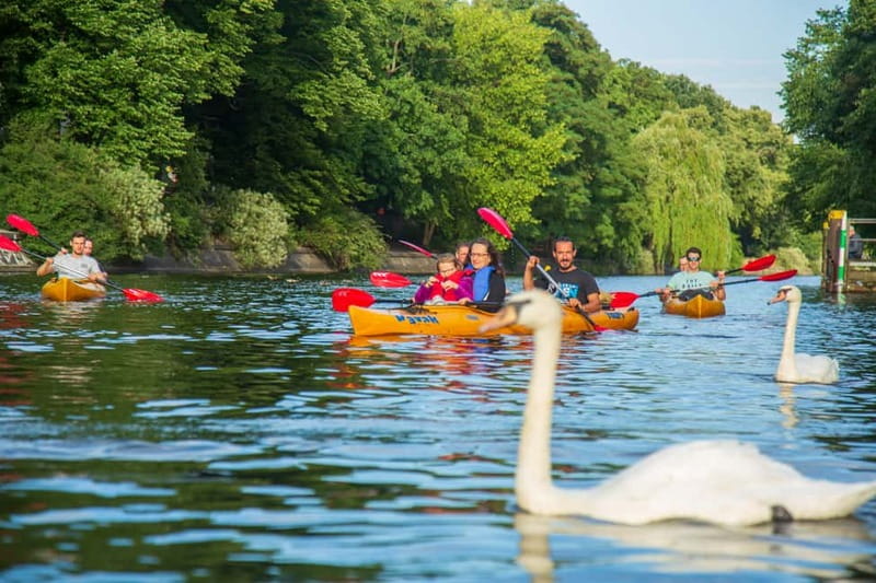 Berlin: Kayaking Tour East - Kreuzberg and Spree river - Price and value: why it feels worth your time