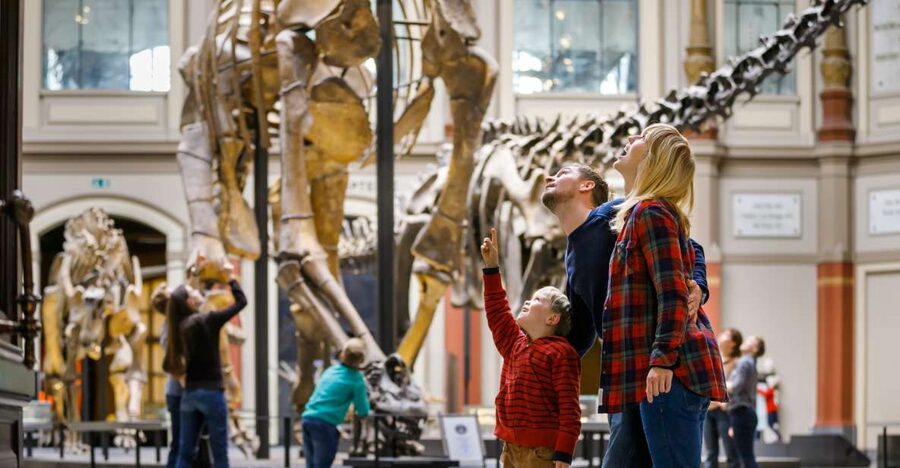 Berlin: Natural History Museum Entrance Ticket - Key things to notice before you go