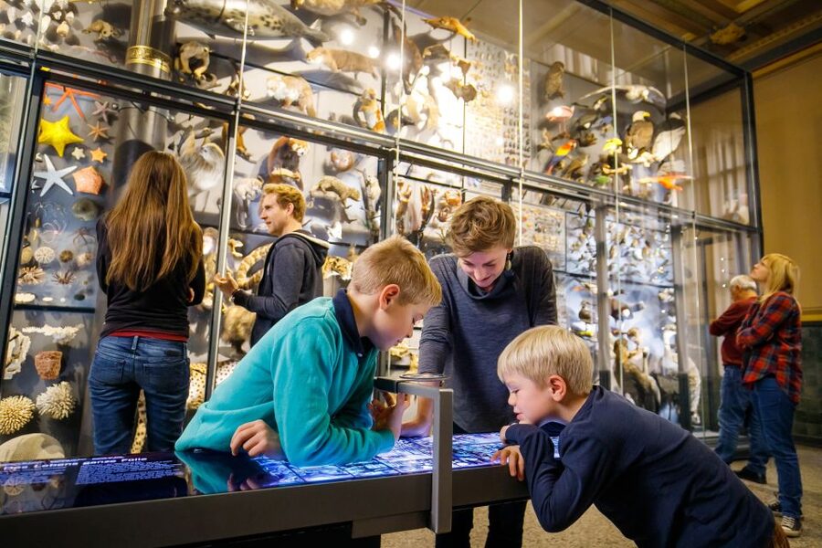 Berlin: Natural History Museum Entrance Ticket - Families, Couples, and Dino Fans: Who This Works For