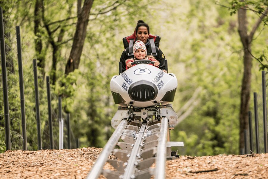Berlin: Nature Bobsled Run Ticket - Should you book this Nature Bobsled Run ticket?
