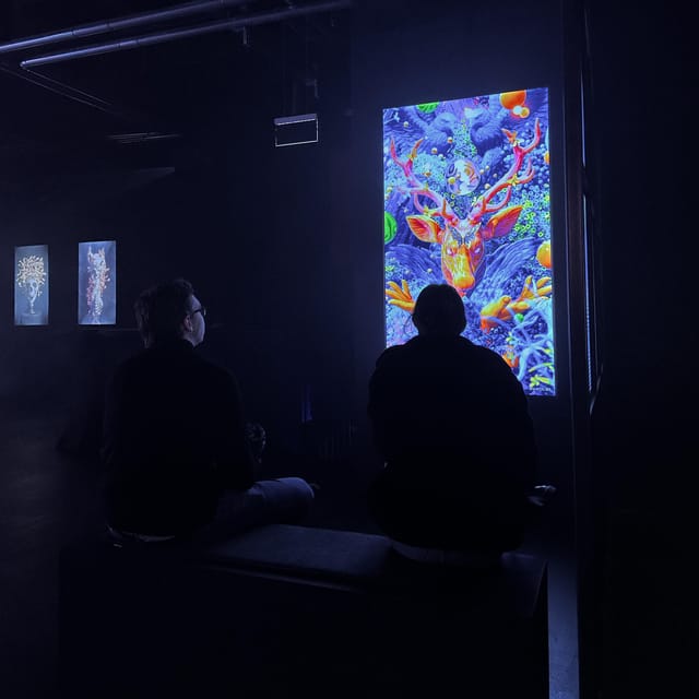Berlin: P61 Gallery - Timing for a 1-day ticket: how to avoid the rush