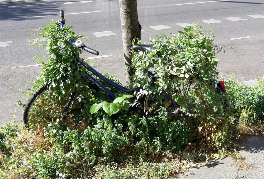 Berlin: Street Art and Alternative Tour - What $31 Buys You, and the 24-Hour AB Ticket Reality