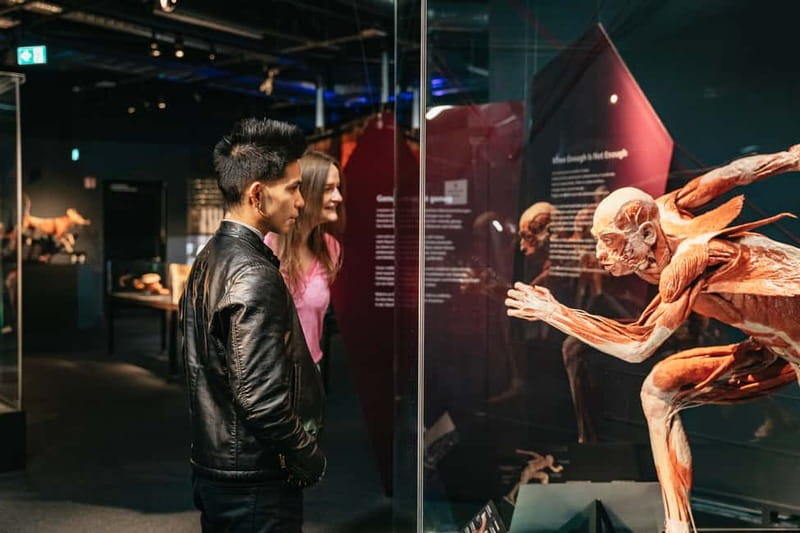 Berlin: Tickets for the BODY WORLDS Museum in Berlin - First look at BODY WORLDS Berlin’s plastinate museum concept