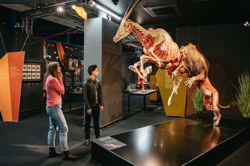 Berlin: Tickets for the BODY WORLDS Museum in Berlin - Where to go, what the ticket includes, and how long to plan