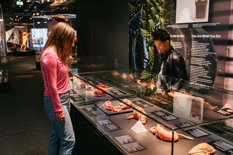 Berlin: Tickets for the BODY WORLDS Museum in Berlin - Muscles, skeleton, digestion: where the body starts to feel readable