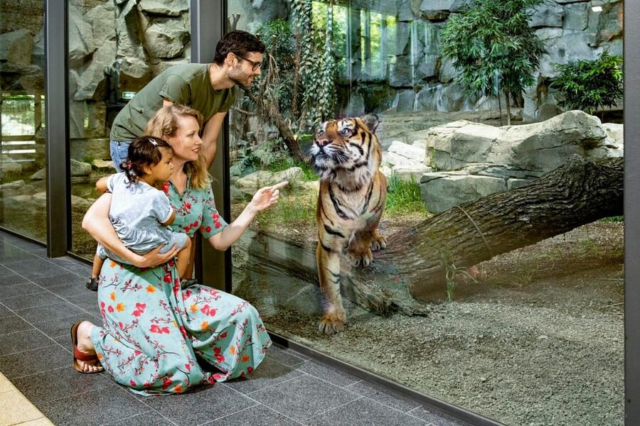 Berlin: Tickets for the Tierpark in East Berlin - Key highlights at a glance