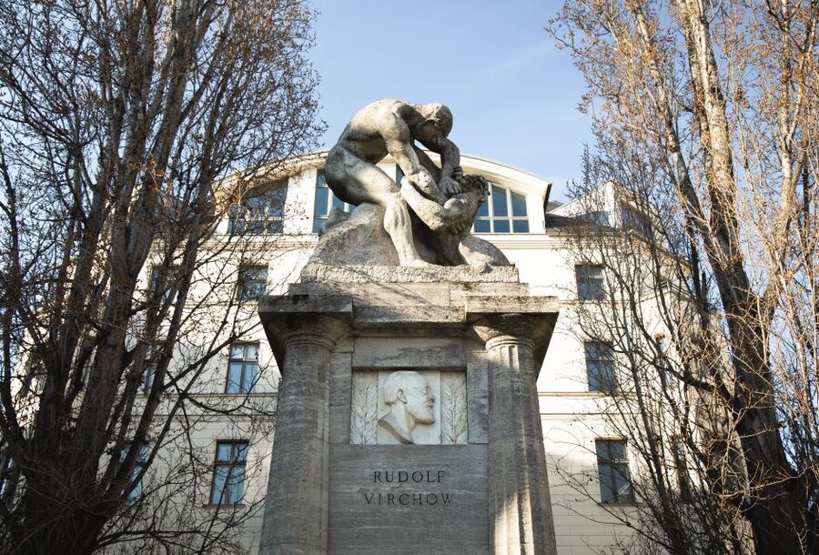 Berlin: walking tour about Charité - Price and value: is $27 for a 2-hour Charité tour worth it?