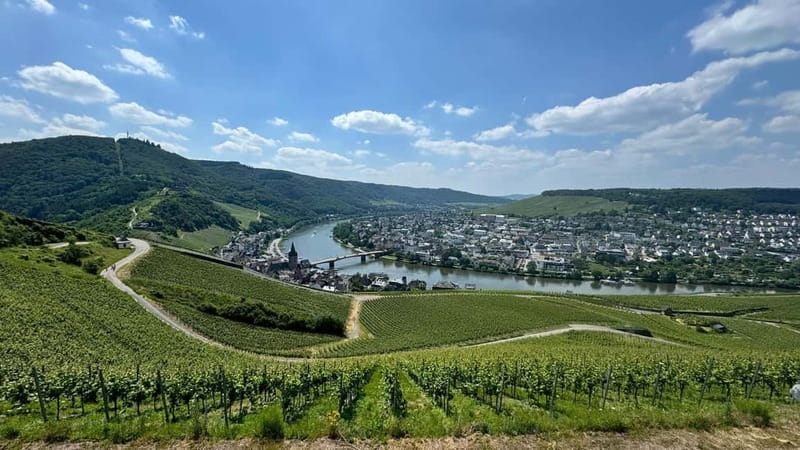 Bernkastel: 1-hour panoramic boat tour Lieser, Mülheim and back - Timing and pacing: how to fit this into your Bernkastel day