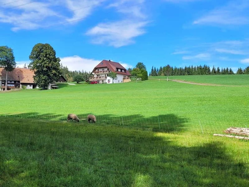 Black Forest: Ravenna Gorge Hike, Self-Guided - Key highlights you will actually care about