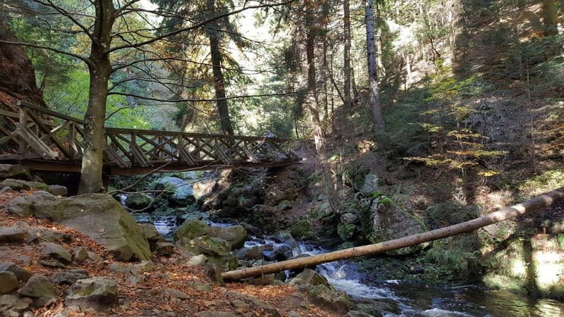 Black Forest: Ravenna Gorge Hike, Self-Guided - Ravenna Gorge: why this Black Forest hike feels different from typical trails