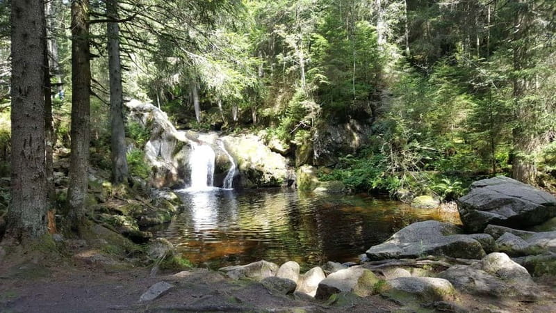 Black Forest: Ravenna Gorge Hike, Self-Guided - Price and value: is it worth paying for the tour?