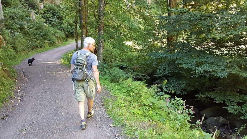 Black Forest: Ravenna Gorge Hike, Self-Guided - Getting there from Freiburg and parking at Hinterzarten