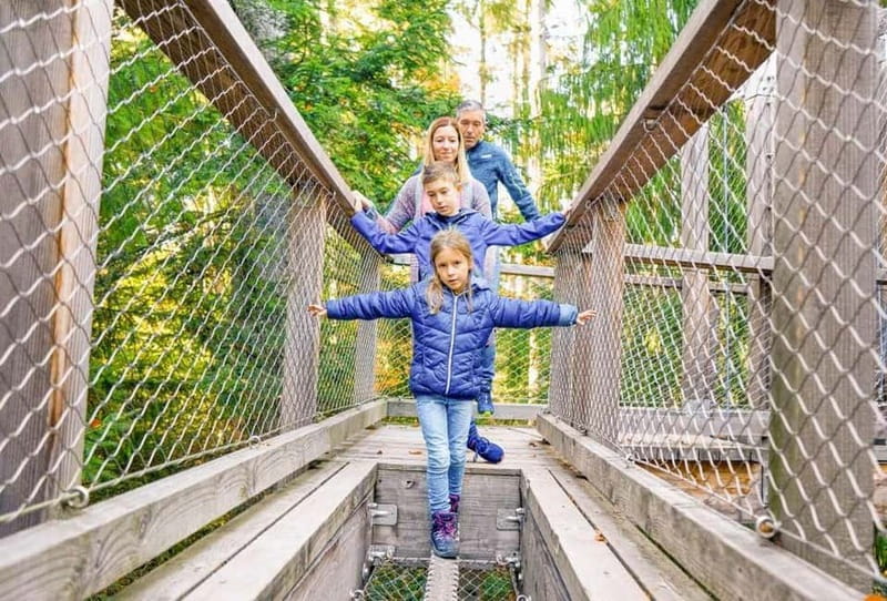 Black Forest: Treetop Walk & Lookout Tower Experience - Key highlights at a glance