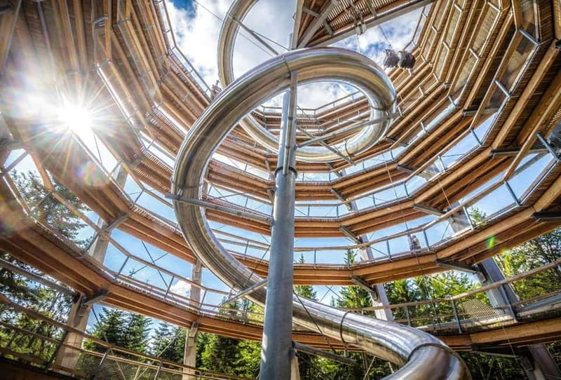 Black Forest: Treetop Walk & Lookout Tower Experience - Sommerberg Treetop Walk: value, time on-site, and what you get