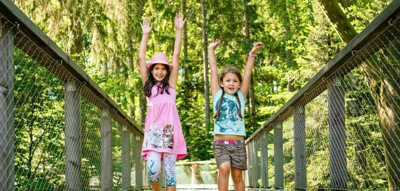 Black Forest: Treetop Walk & Lookout Tower Experience - The slide from 25 m up: 55 m tunnel thrill, and why timing matters
