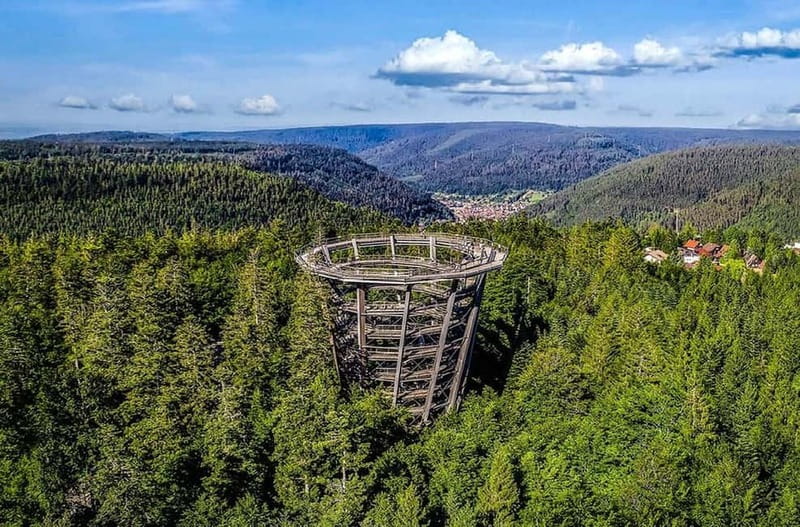 Black Forest: Treetop Walk & Lookout Tower Experience - Rules and limits that affect your day (dogs, kids, and what not to bring)