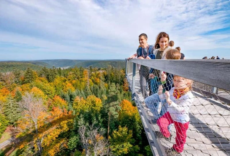 Black Forest: Treetop Walk & Lookout Tower Experience - First steps on the trail: where the experience starts to feel special