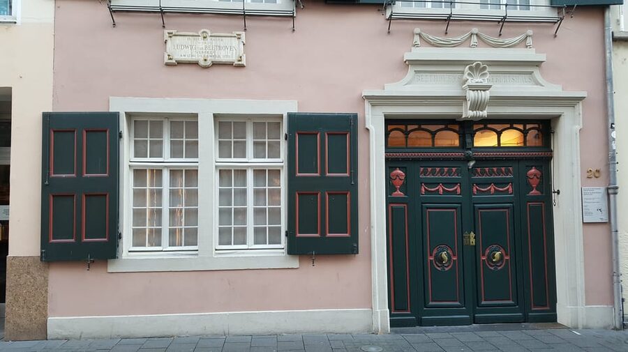 Bonn: Private City Highlights Walking Tour - Distant views of Münsterkirche, the Barocke Meile, and the Rheinpanorama
