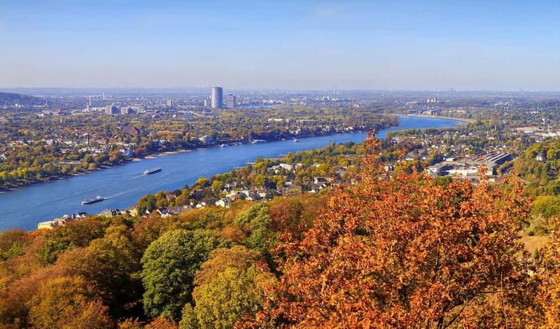 Bonn: Winter tour by boat with mulled wine - Service and onboard comfort: what to expect from the staff vibe