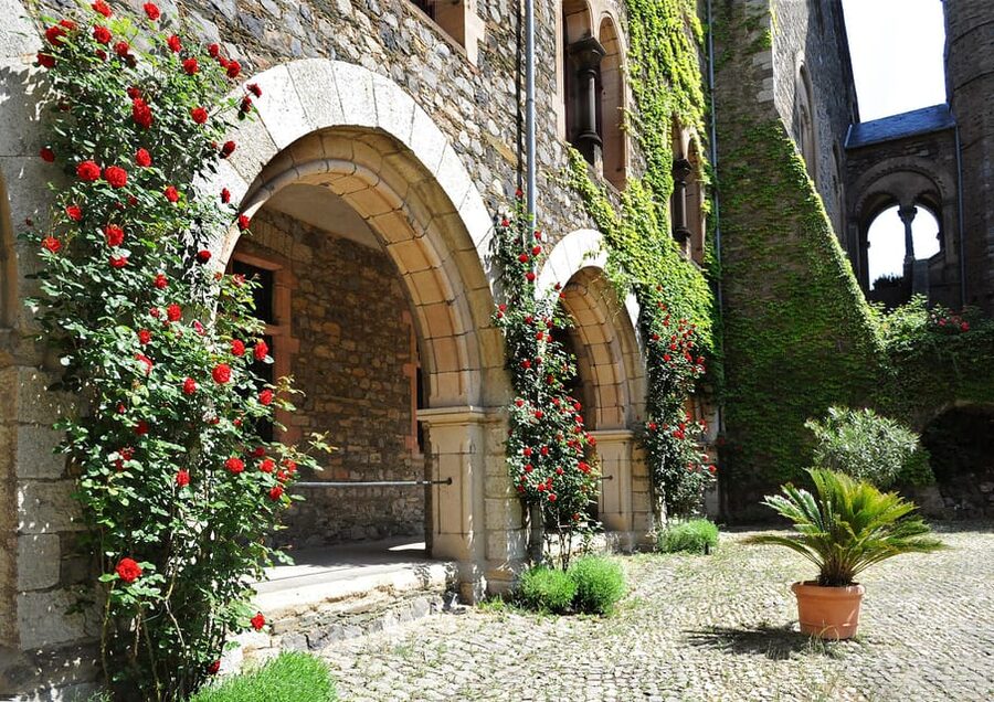 Braunfels: Guided Tour of the Fairytale Castle Braunfels - Entering the Courtyard: High Towers, Summer Roses, and the First Big Impressions