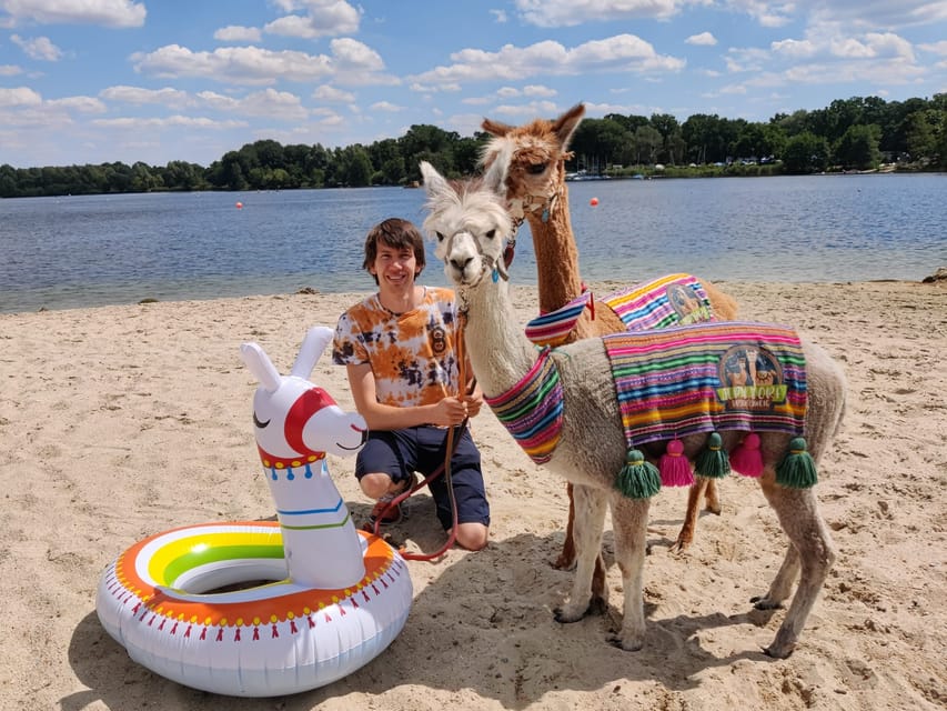 Braunschweig: Alpaca Trekking Tour - Small Group Size, Multiple Alpacas, and One Expert Keeping It Smooth