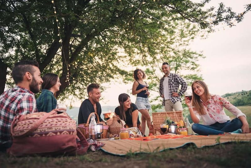 Cochem: Bike and Boat Tour with Picnic and Wine Tasting - Key highlights to look for