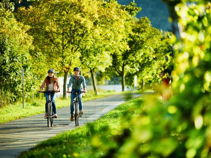 Cochem: Bike and Boat Tour with Picnic and Wine Tasting - The riverbank picnic: what you’ll do with that basket