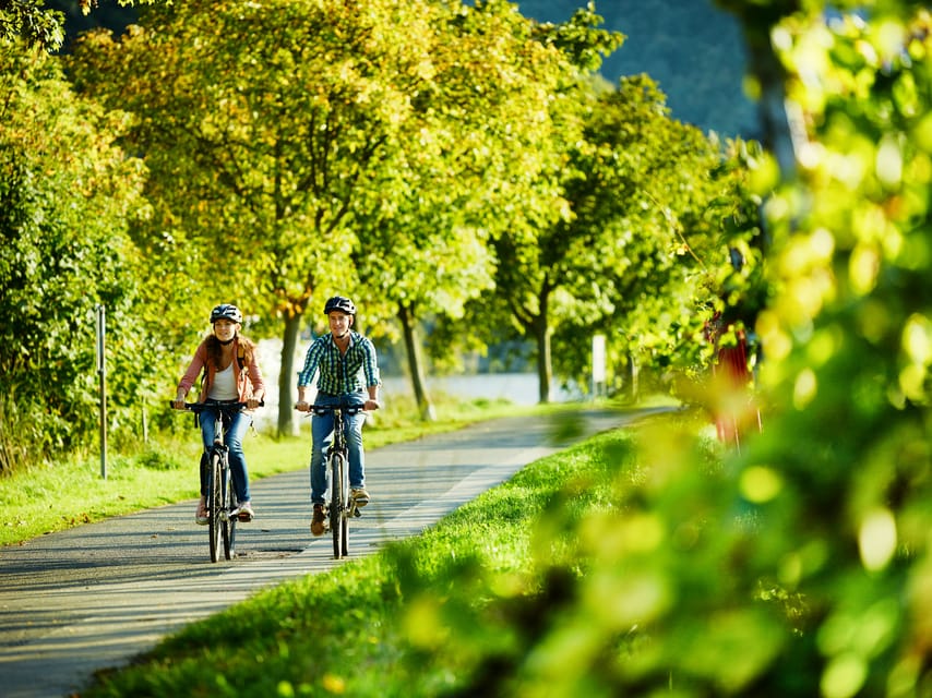 Cochem: Bike and Boat Tour with Picnic and Wine Tasting - Price and value for about $116 per person